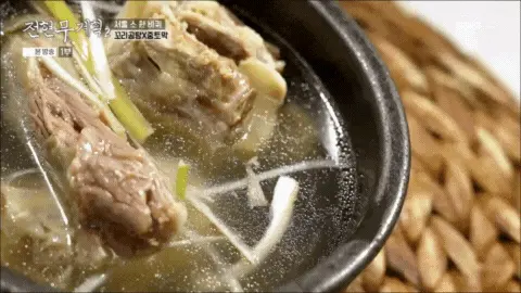 꼬리곰탕과-중토막