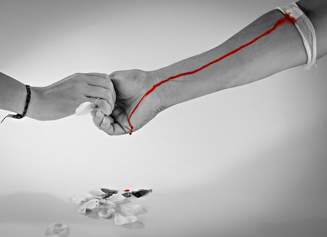 사회복지사_1급