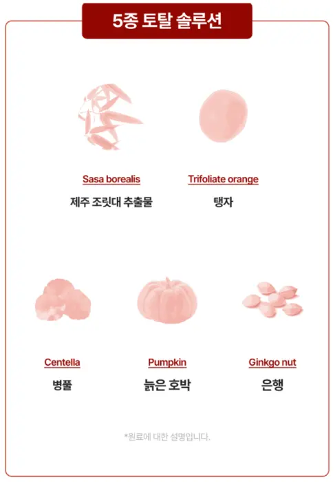 레그필 내돈내산 찐 후기 붓기 부종 부작용 성분 효과 사기?