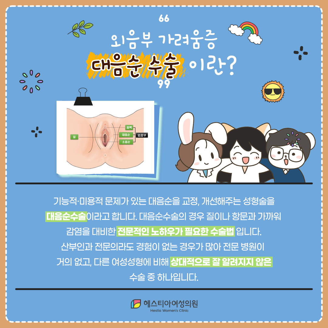 외음부가려움증 대음순수술이란?