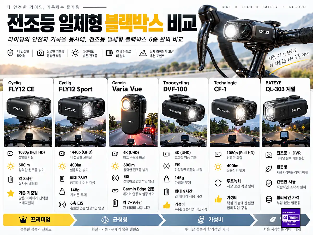 자전거 전조등 일체형 블랙박스 FLY12 CE Sport Varia Vue DVF100 CF1 배트아이 비교