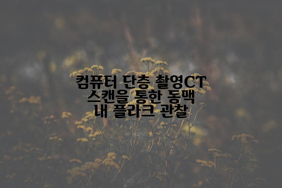 컴퓨터 단층 촬영CT 스캔을 통한 동맥 내 플라크 관찰