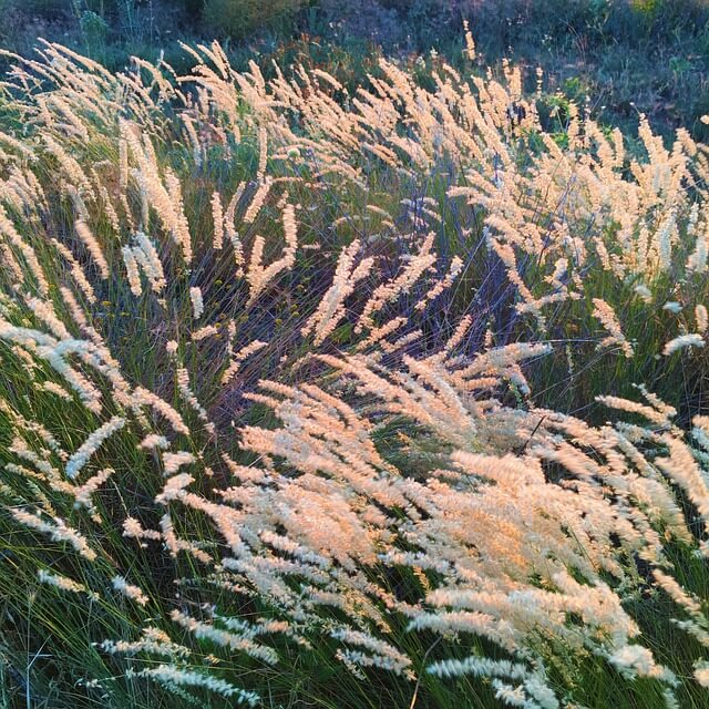 귀촌 실패.. 준비가 되지 않았던 나