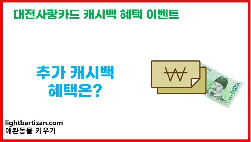 대전사랑카드 추가 캐시백 혜택