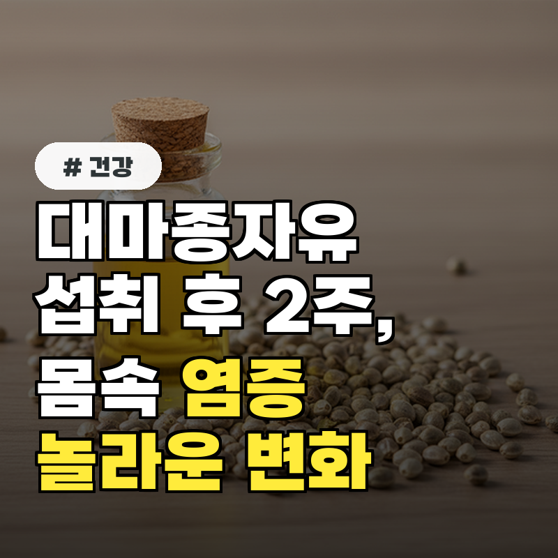 대마종자유 섭취 후 2주, 몸속 염증 수치에 생긴 놀라운 변화 공개