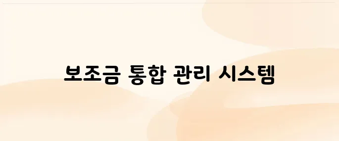 보조금24 홈페이지 (https://www.gov.kr)