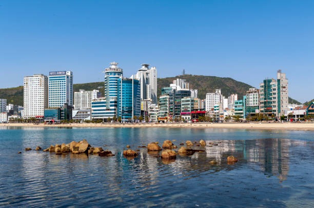 부산 광안리 해수욕장 개장 및 편의시설 정보