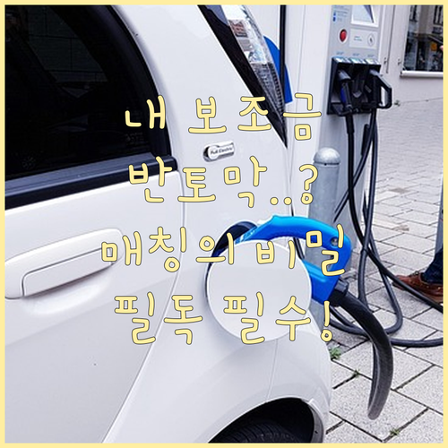 전기차 국고 보조금과 지자체 예산 매..