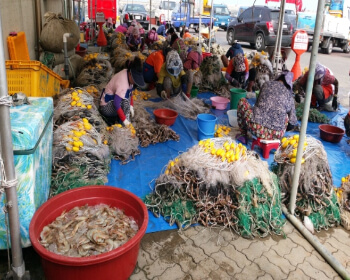 무창포 대하 전어축제_30