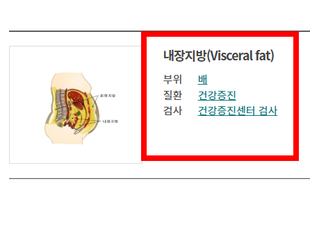 신장 검사방법 알아보기