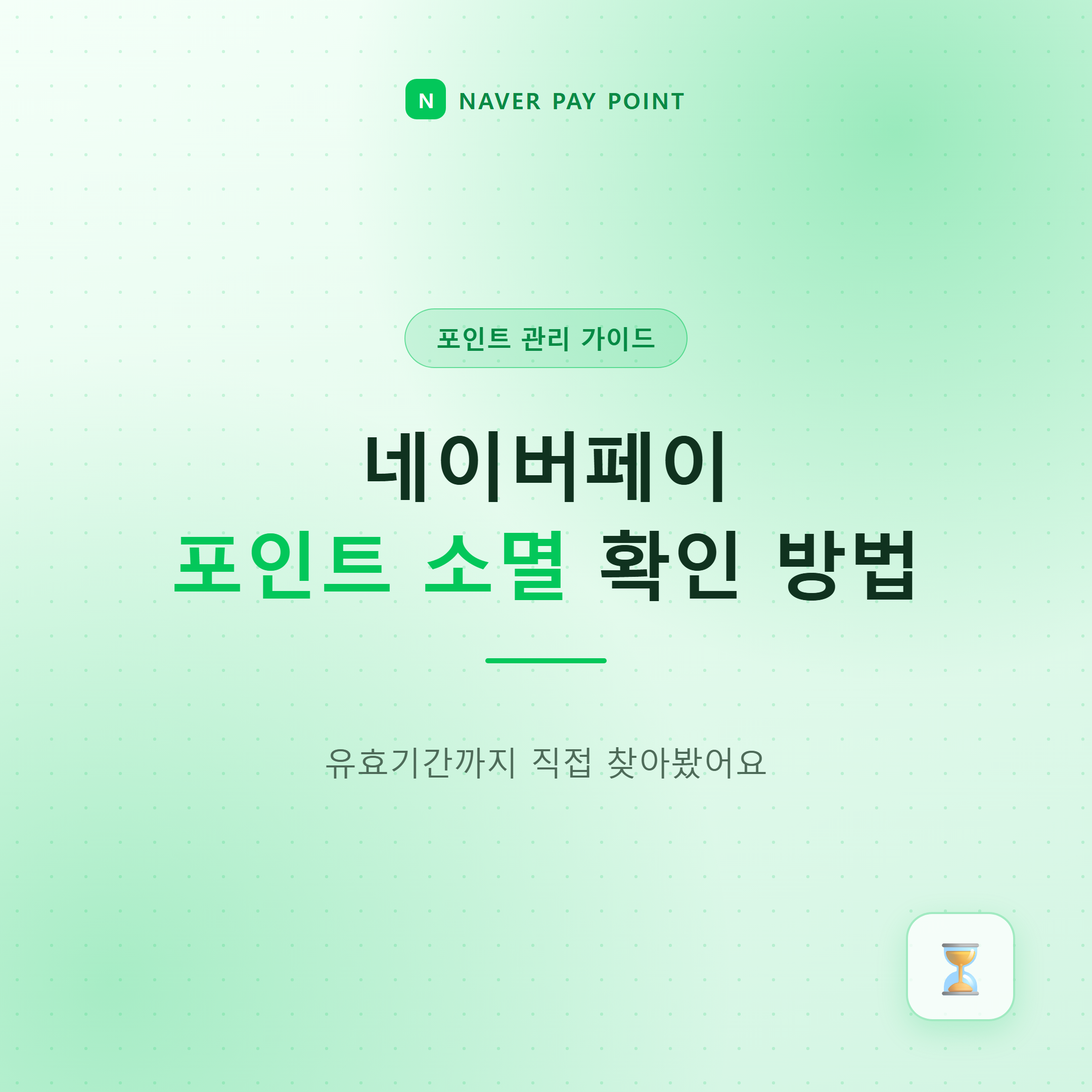 네이버페이 포인트 소멸 확인 방법과 유효기간 안내 대표 이미지