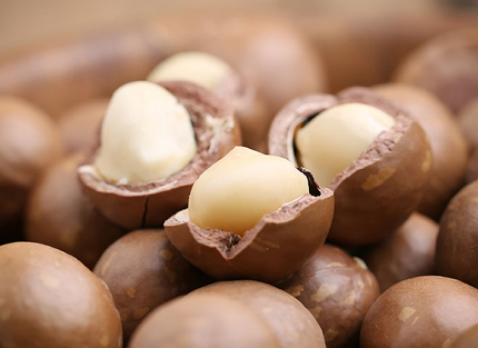 마카다미아의 효능