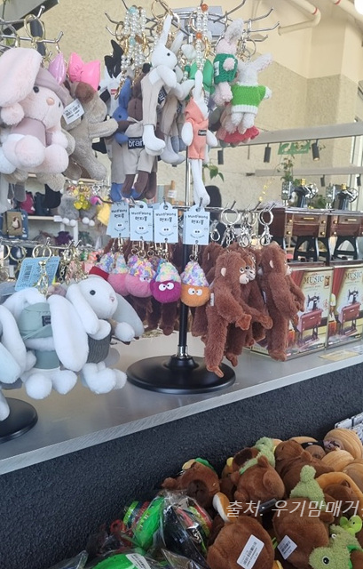 24년 순천만 국가정원 식물원 동문 순천여행