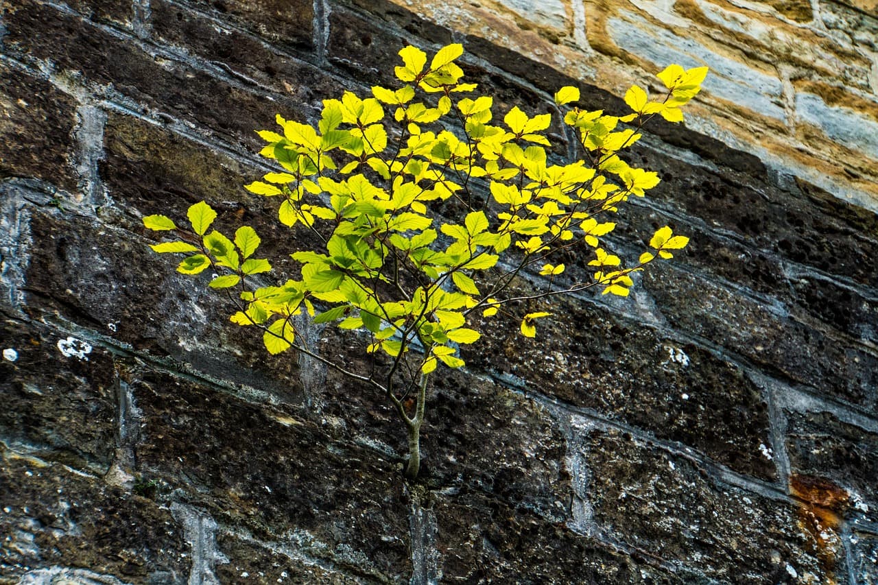스마트홈 기술과 전통 건축의 융합 사례 분석