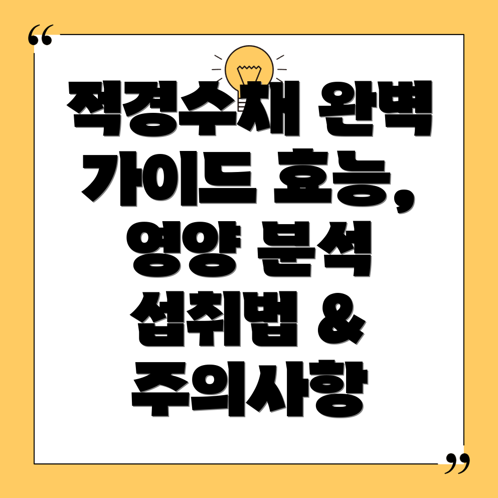 레드 캐피탈 (적경수채)