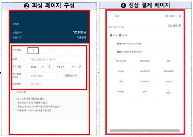 온라인 쇼핑몰 피싱 5700건 유출된 신용카드 정보와 금감원 소비자경보 긴급 가이드