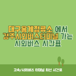 대구용계정류소에서 경주시외버스터미널 시외버스 시간표 최신정보