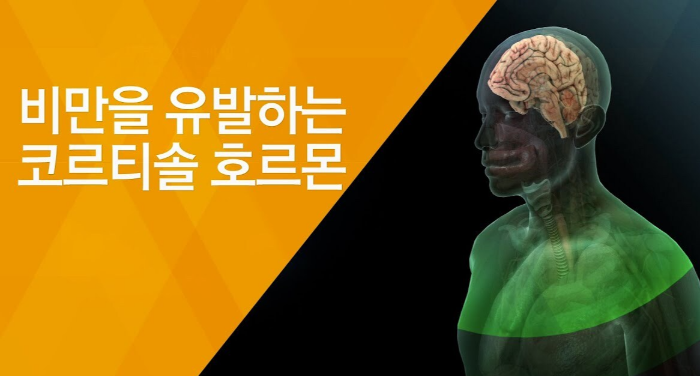 코티솔호르몬