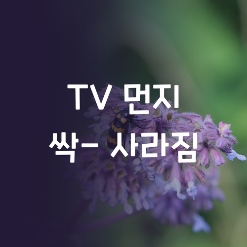 TV 먼지, 이제 MINT LCD 클..