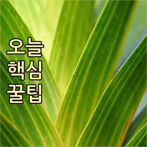 당신이 몰랐던 전농동 쓰레기 배출 시..