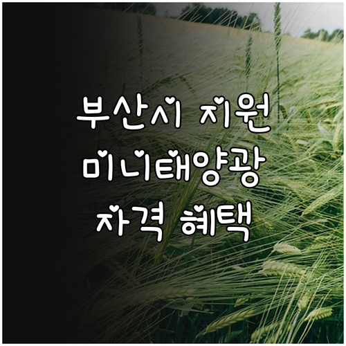 2025 부산시 미니태양광 지원: 자..