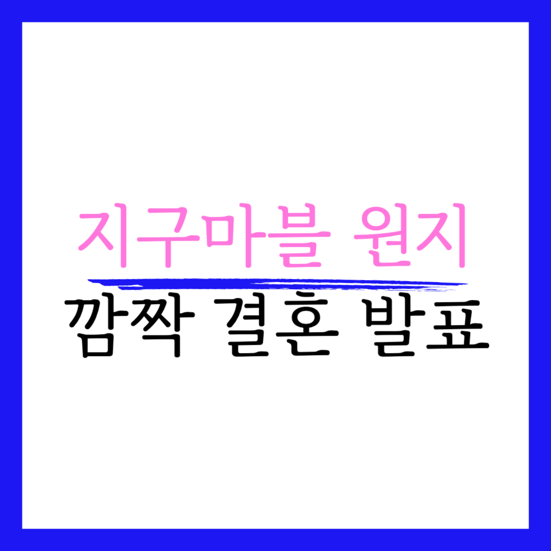 원지 결혼 발표 남편 누구 지구마불 마다가스카르