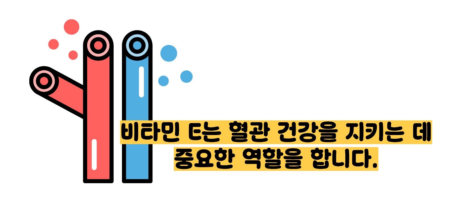 비타민e의 효능