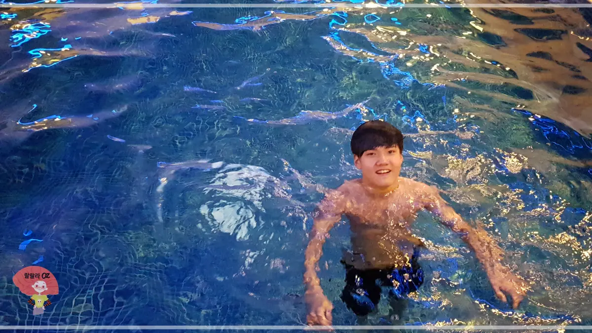 호주-멜버른-아틀란티스-호텔-실내-수영장에서-수영하는-소년