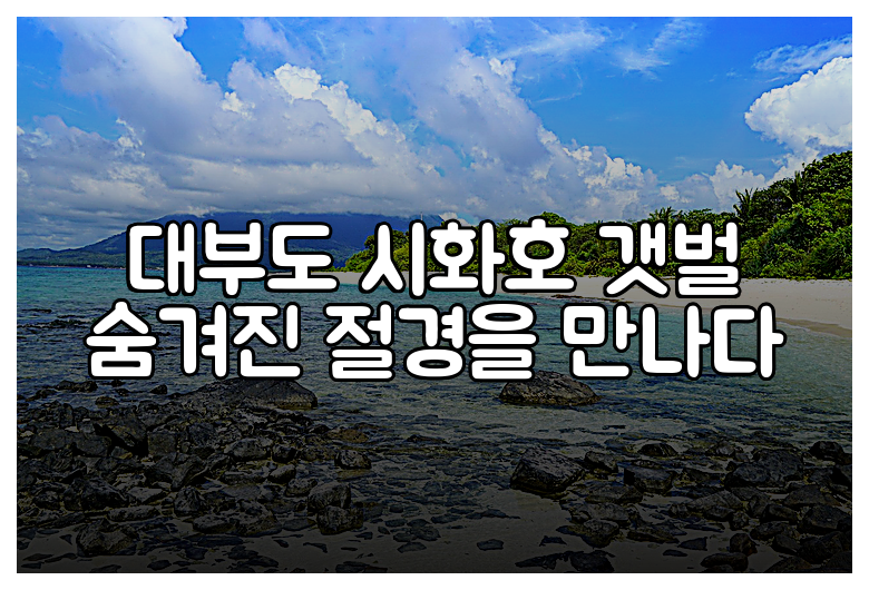 대부도 시화호 갯벌 숨겨진 절경을 만나다