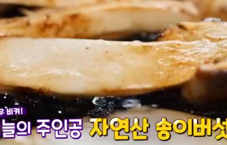 자연산 송이 버섯