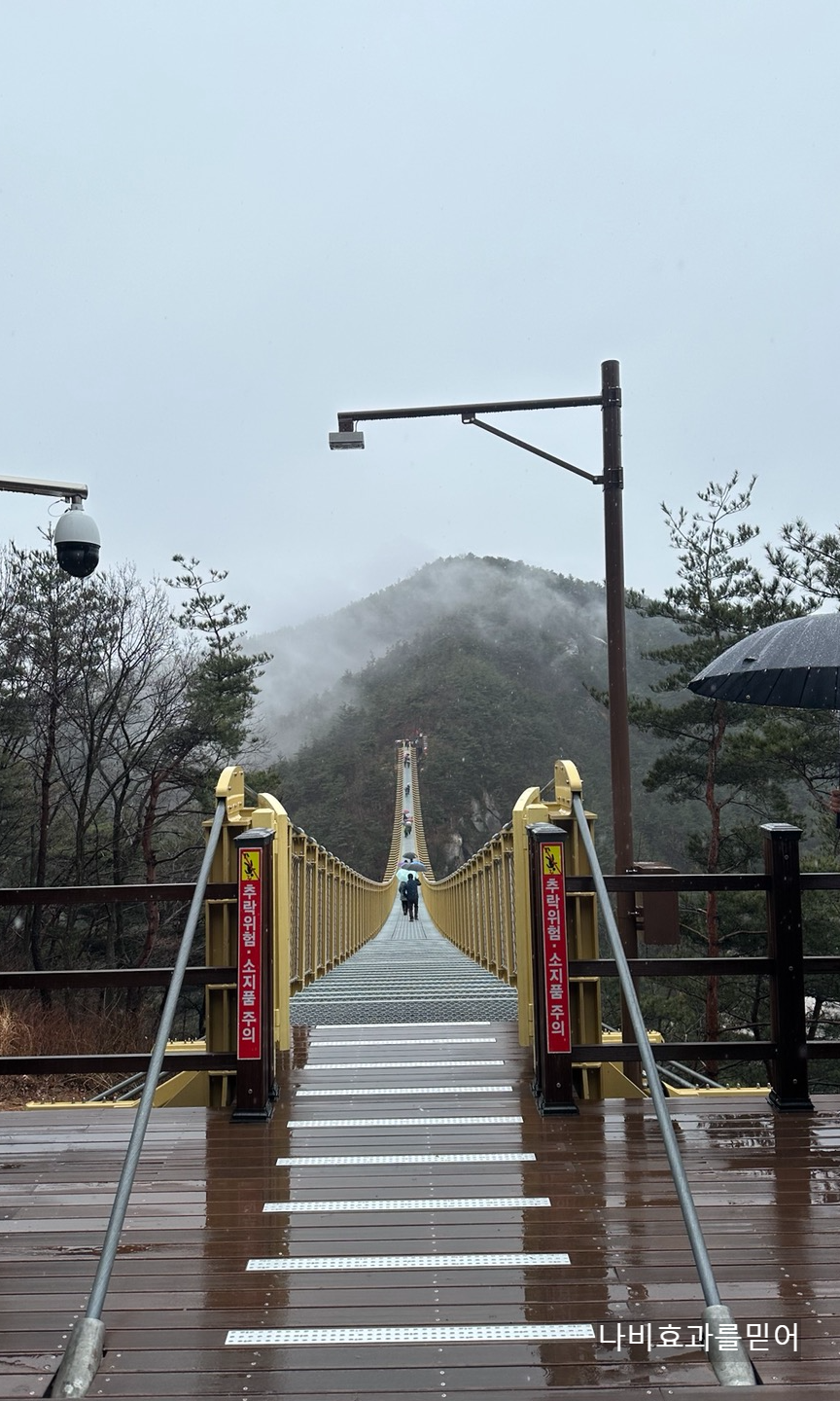 거창 수승대 출렁다리