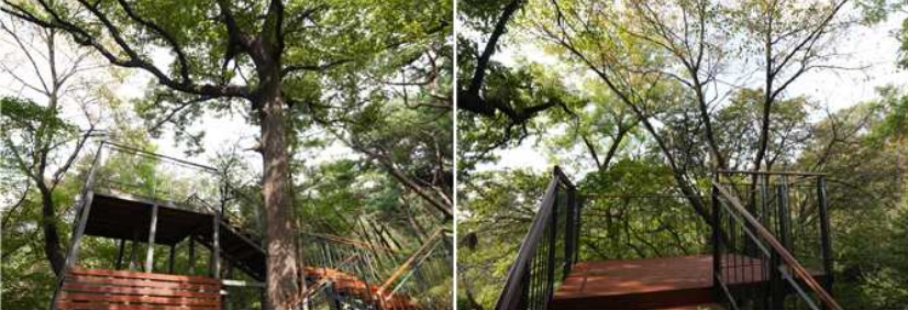 참나무전망대