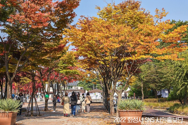 동탄센트럴파크 단풍
