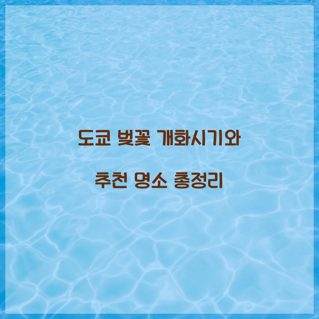 도쿄 벚꽃 개화시기