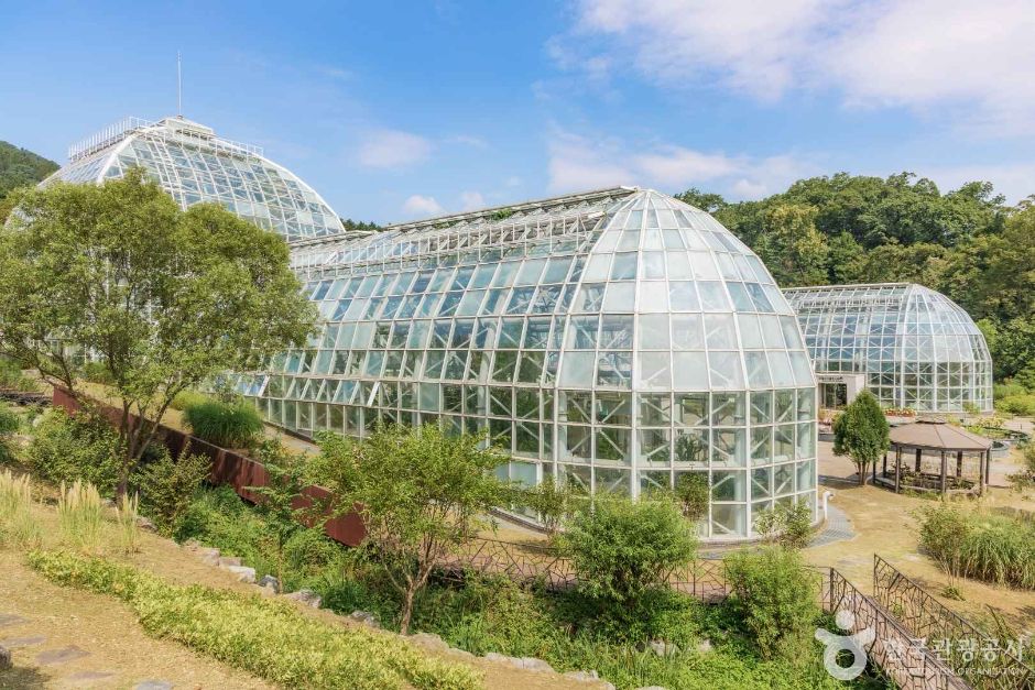 65세이상무료입장&amp;#44; 경로우대무료&amp;#44; 가을여행지추천&amp;#44; 어르신무료명소&amp;#44; 창덕궁후원&amp;#44; 서울대공원무료&amp;#44; 국립수목원무료&amp;#44; 국립세종수목원&amp;#44; 순천만국가정원무료&amp;#44; 남이섬경로우대&amp;#44; 조선왕릉무료&amp;#44; 노인무료입장&amp;#44; 신분증무료입장&amp;#44; 경로우대할인&amp;#44; 창덕궁후원예약&amp;#44; 국립수목원예약&amp;#44; 국립수목원차량예약&amp;#44; 순천만갈대&amp;#44; 순천만국가정원휴무&amp;#44; 서울대공원경로&amp;#44; 코끼리열차실버요금&amp;#44; 동구릉&amp;#44; 선정릉&amp;#44; 서오릉&amp;#44; 가을고궁산책&amp;#44; 부모님가을여행&amp;#44; 어르신가을나들이&amp;#44; 65세혜택&amp;#44; 시니어여행&amp;#44; 황금길가이드