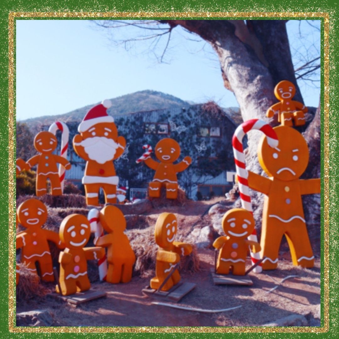 대구/네이처파크/미라클/크리스마스