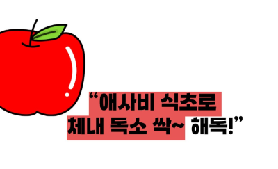 애사비 식초 효능