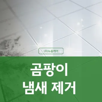 곰팡이 냄새 빨래통 환기와 햇빛 건조 베이킹소다 뿌리기_9