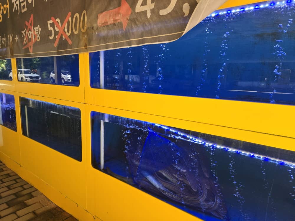 송도 장풍송도장어