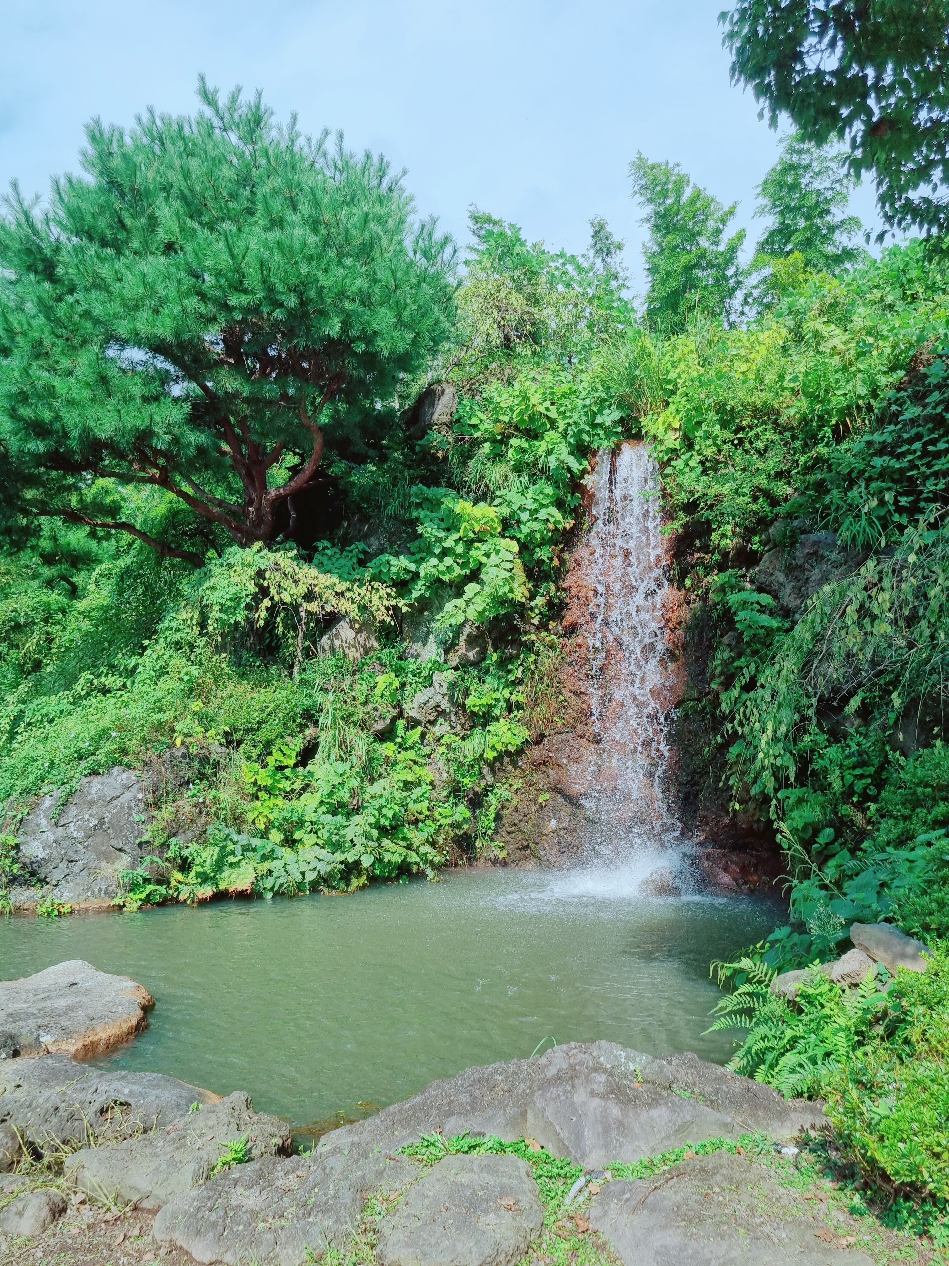 노리매공원