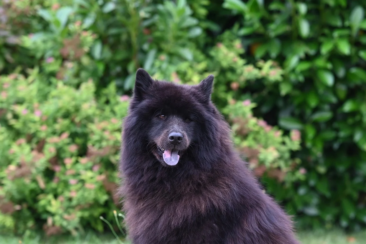 송파구 9시 이후 늦게까지 운영하는 맛집 Best4