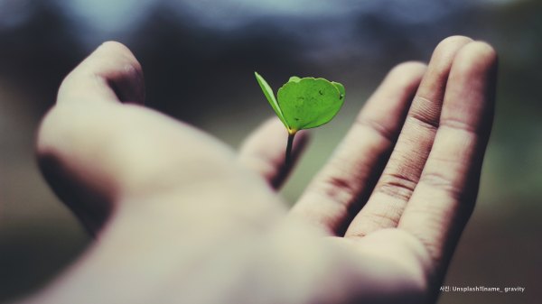 삶의 목적은 삶의 목적을 갖는 것이다.(The purpose of life is to have a purpose in life)