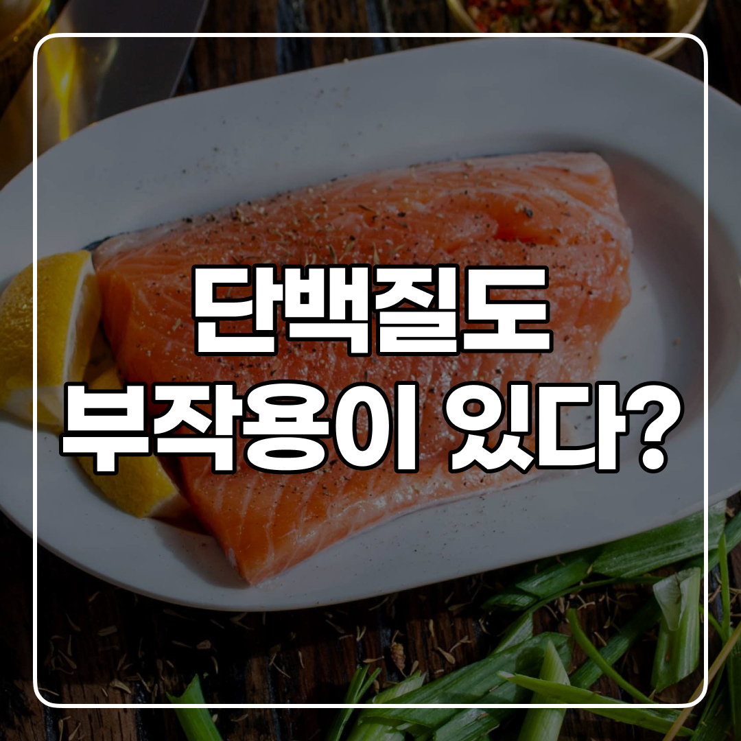 단백질 과다섭취