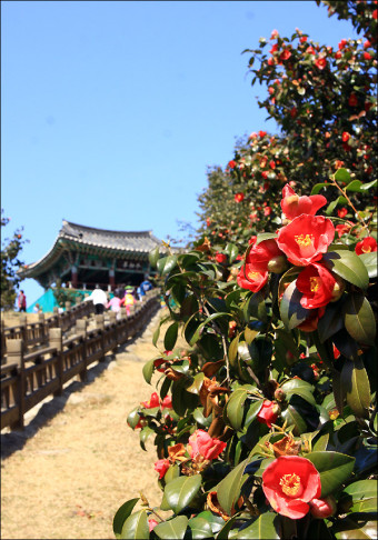 서천주꾸미축제