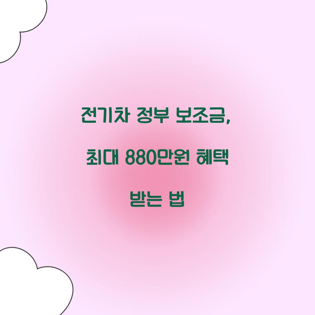 전기차 정부 보조금