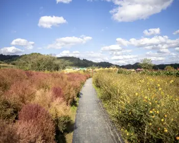 임진강 댑싸리공원_6