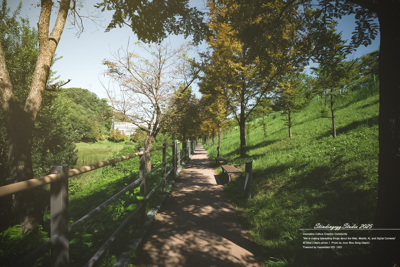 #청주 #오창 #구룡성당 #가톨릭