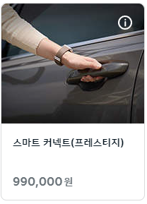 스마트커넥트-옵션