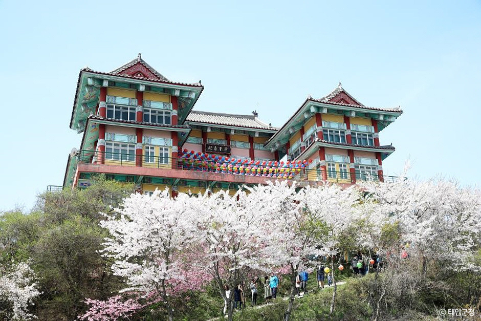 태안 가볼만한곳 베스트10