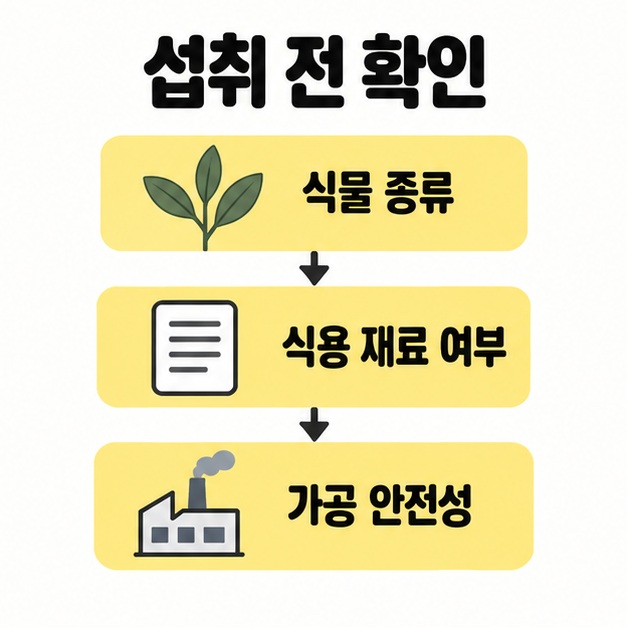 식물의 종류, 식용 재료 여부, 가공 안전성을 차례로 확인하도록 보여주는 점검 도식